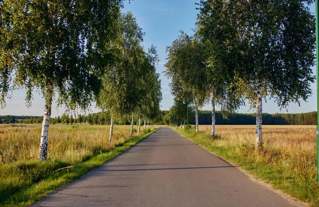 Unterkunft AlohaCamp Mein rotes Haus - 3 Bienchen 4
