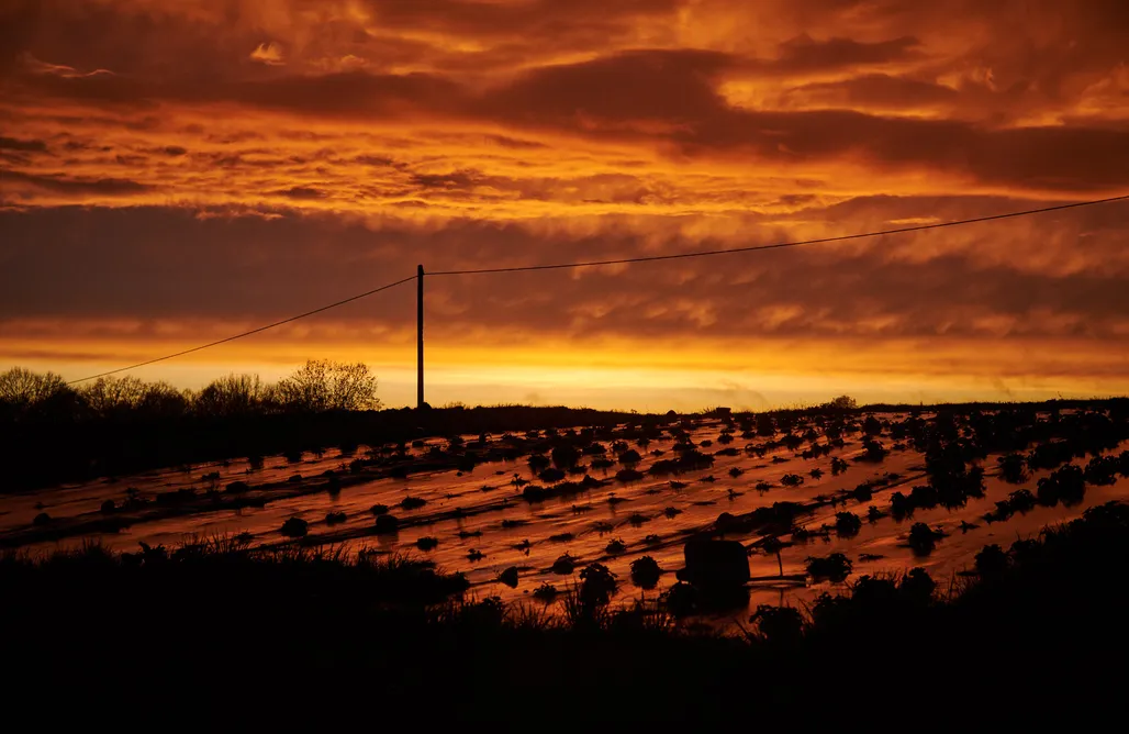 AlohaCamp Miejsce dla kamperów lub przyczep 1 1