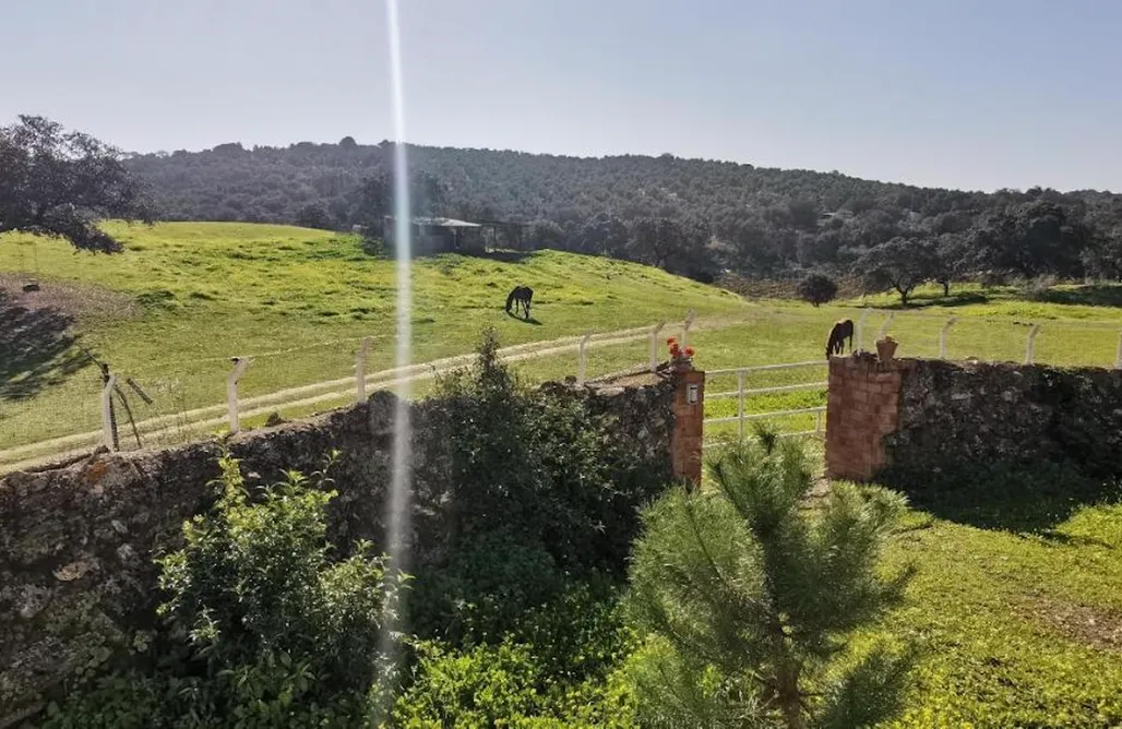 Alojamientos en Sevilla Cortijo dehesa Sierra León 3