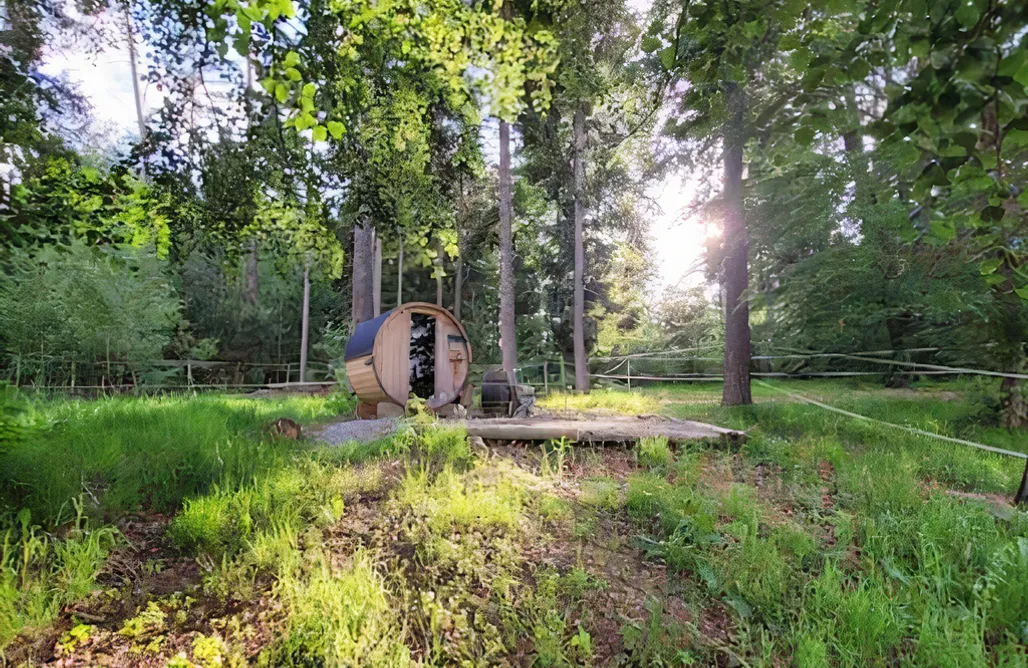 Unterkunft AlohaCamp Holzhaus alleine am Waldrand 5