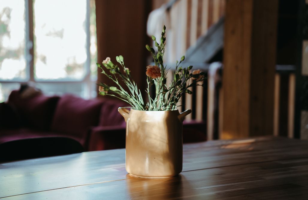 AlohaCamp Dom Biały - wigierski punkt widokowy na styku trzech jezior 2