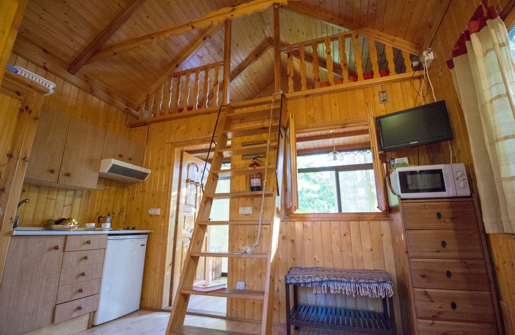 AlohaCamp Casa de las Ranas 3