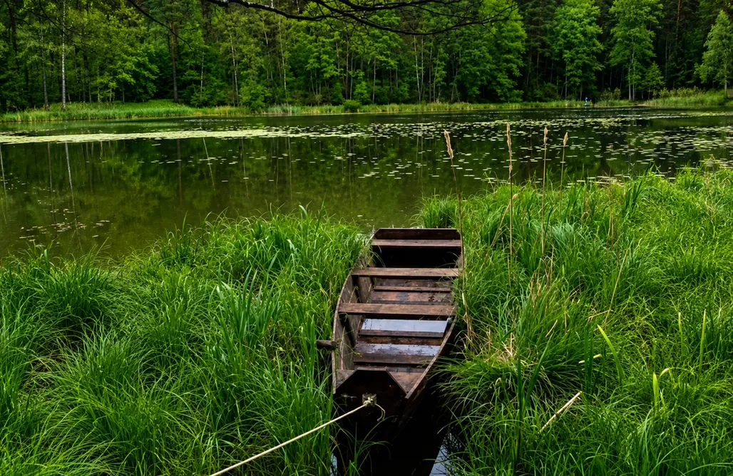 Unterkunft AlohaCamp Stativa Campo Gitano 1