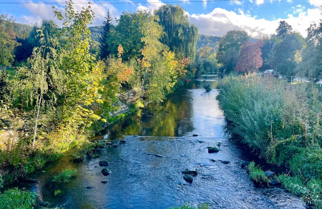 noclegi AlohaCamp No Drama House  3