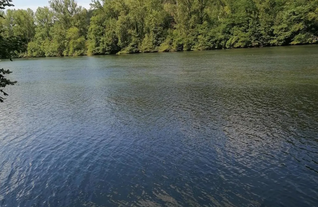 Alloggio AlohaCamp Entre rivière & bambous - Vue rivière - Parc arboré 4