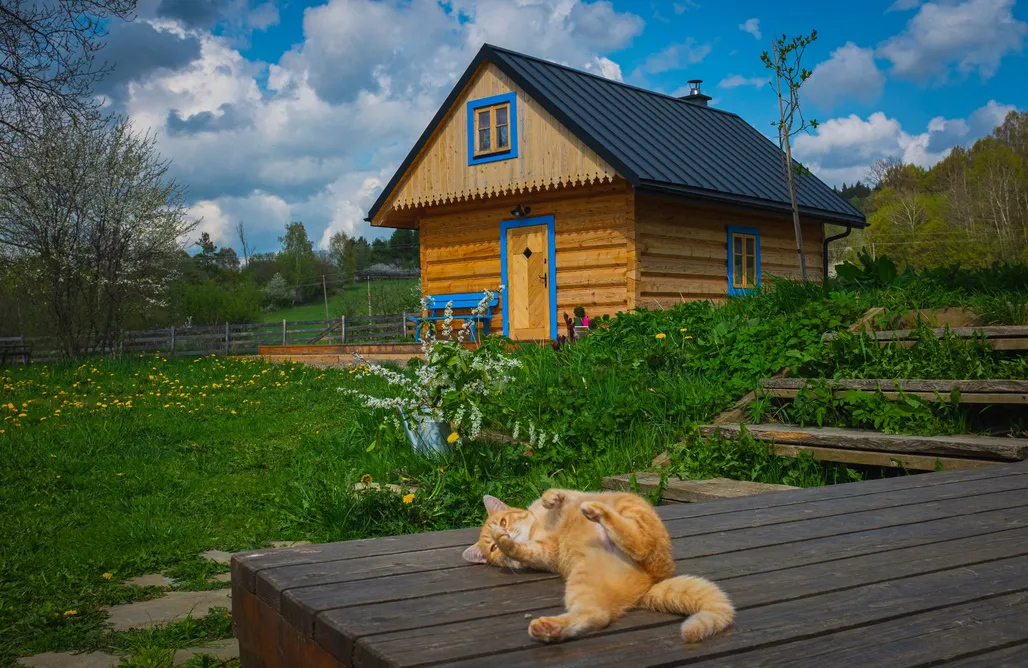 Dukla Domki Chatka Mokoszka 2