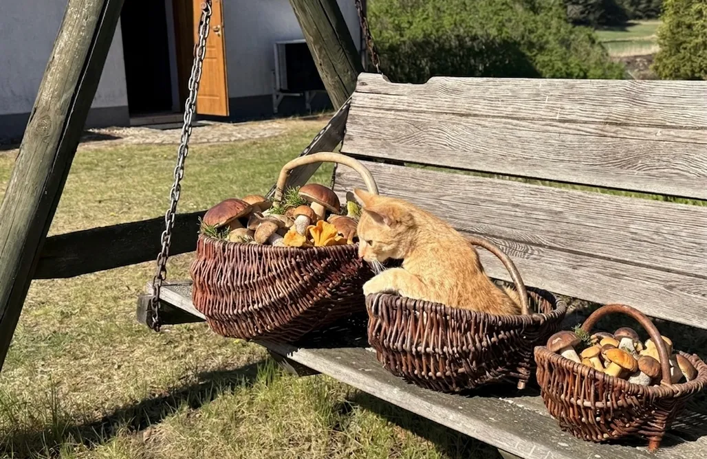 AlohaCamp Horyzont Zdarzeń 1