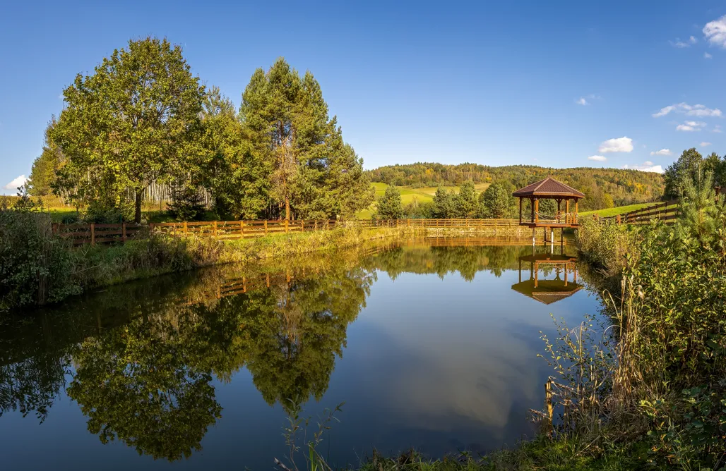 Wojaszówka Domki Domek w sercu Czarnorzecko-Strzyżowskiego Parku Krajobrazowego 3