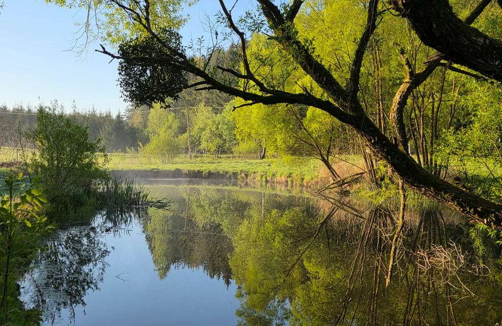 noclegi AlohaCamp Agroturystyka Orzechowe Wzgórze 5