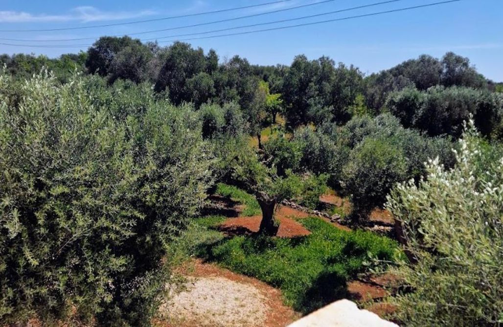 Villa collinare con piscina privata by ItriaLuxuryStays AlohaCamp