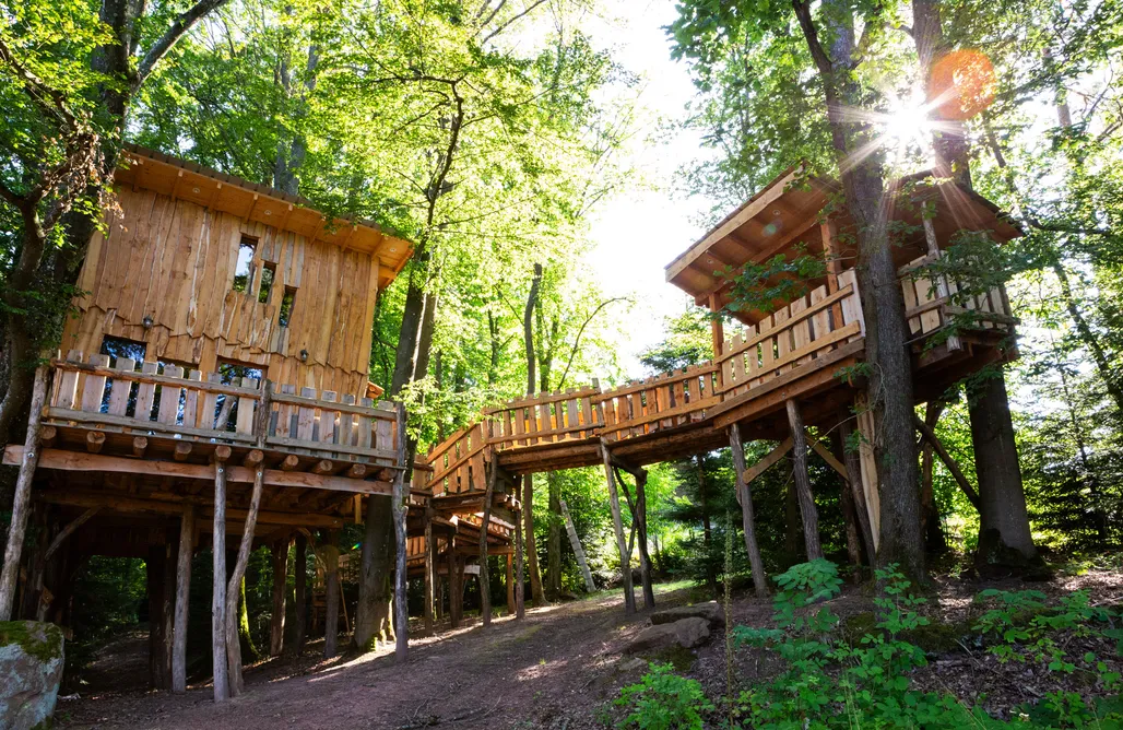 Glamping La Cabane dans les arbres du Domaine de la Forestière 2