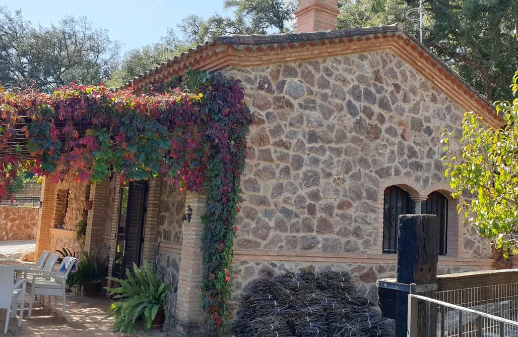 Cabañas con chimenea para dos personas Huerto Los Castaños 3