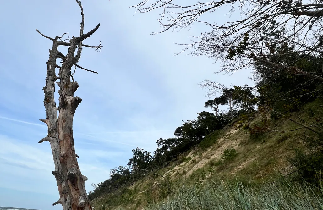 hebergement AlohaCamp Dom Snów Domysłów - Wyspa Wolin 1