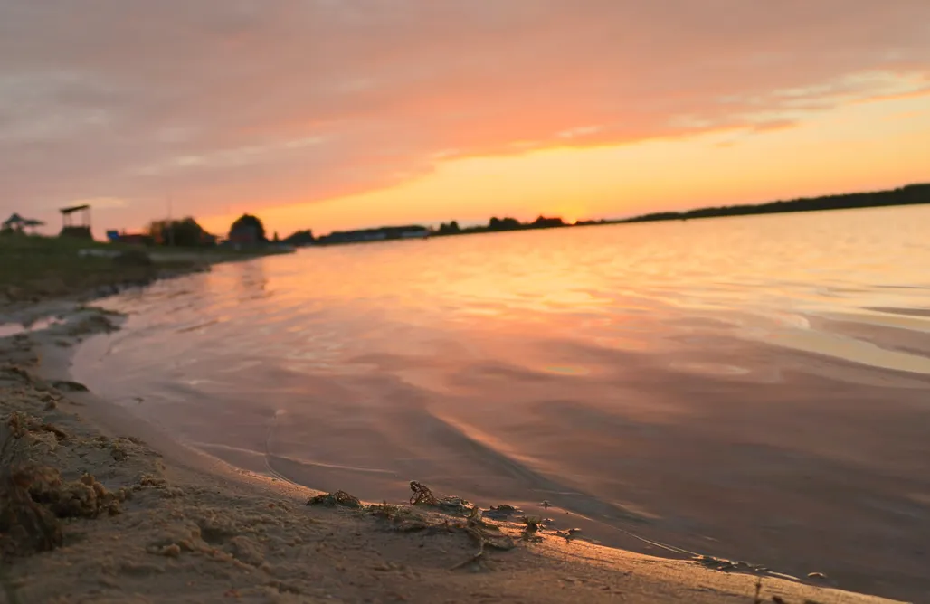 Guciów noclegi Carthome - wyjątkowy dom na kołach w otoczeniu lasu 3