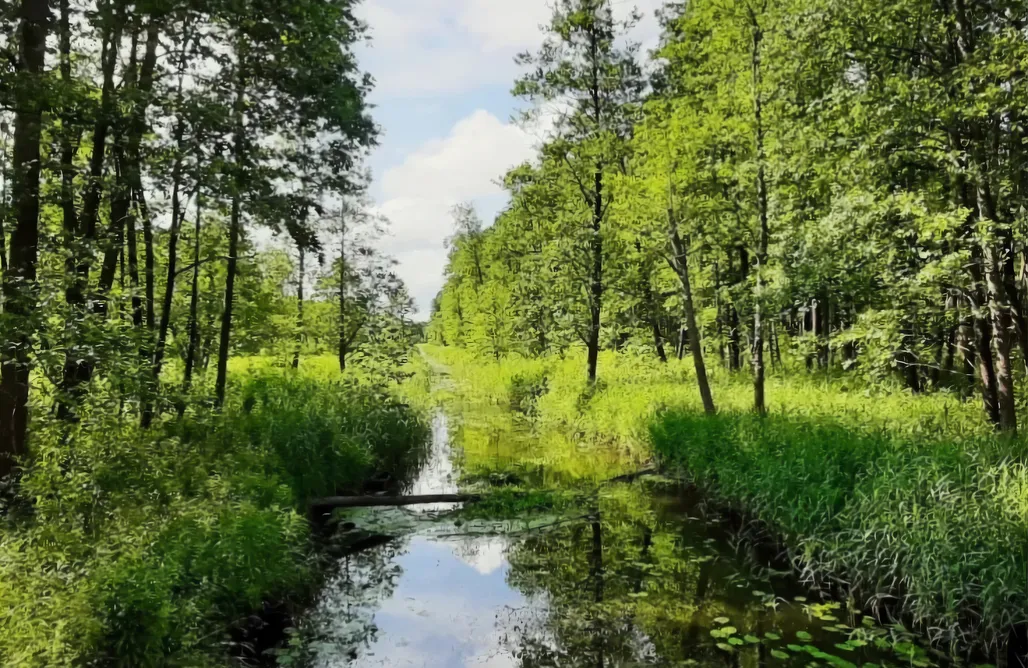 noclegi AlohaCamp Nasze Podlasie, domek w Dubiczach Cerkiewnych  1