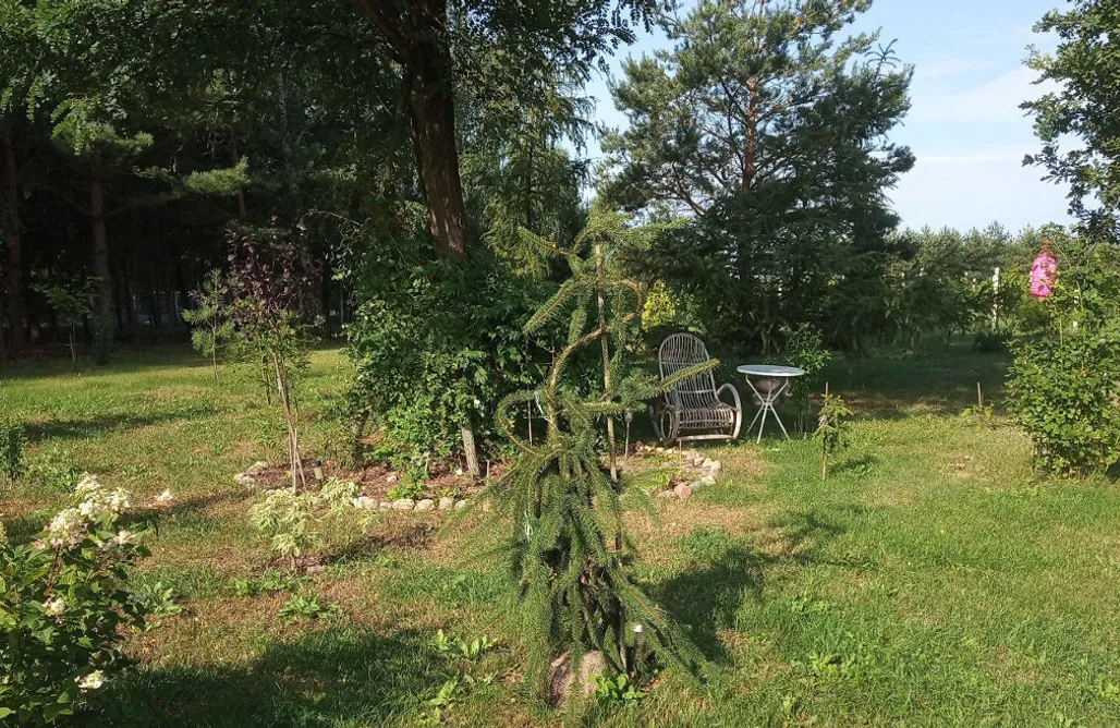 Jezioro Tarnobrzeskie Noclegi Miejsce kamperowe i namiotowe - Winnica Rytwiany 1