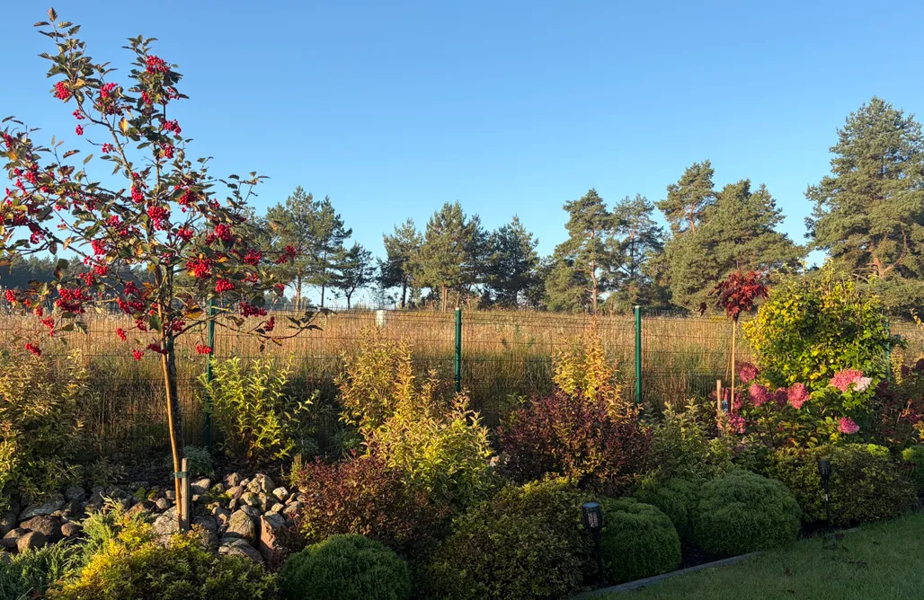 Glamping Mazowieckie Mazurski chill 1