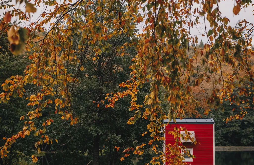 AlohaCamp Nagietek 3