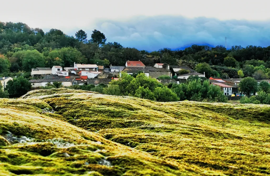 alojamientos AlohaCamp El Triskel de Chumbea Nature, Stars & Panoramic Views  4
