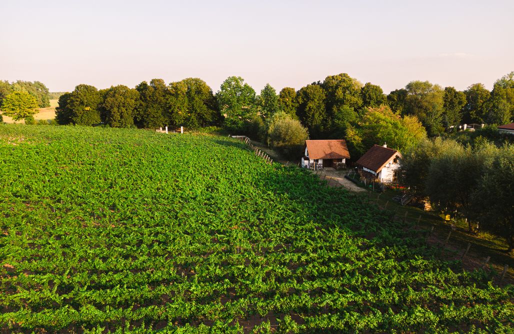 AlohaCamp accommodation Domek Winiarza w Winnicy nad Soną 2