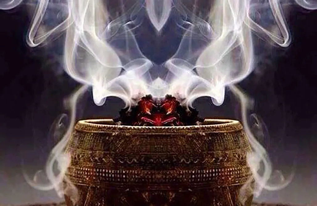 Unterkunft AlohaCamp Cupula estelar 2