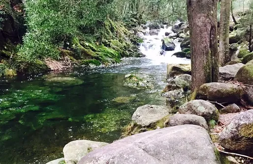 Imagen de Cabaña en los árboles en Remanso do Manantial 