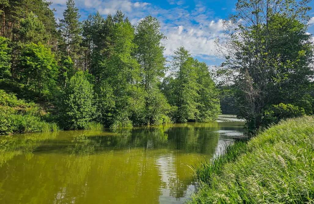 Glamping Poland Dla Gości na Kaszubach - Wieprznica 1