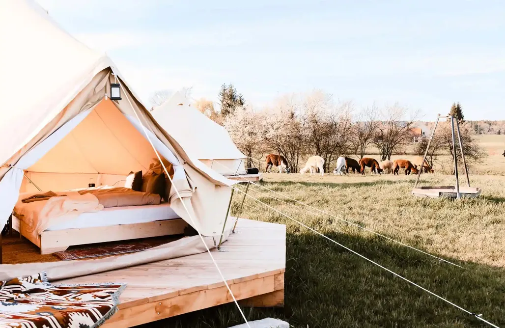 Ferienhaus Bayerischen Wald Glamping Lebenshofalpakas 2
