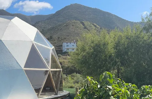 Imagen de Bosque Raíces