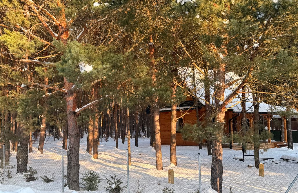 hebergement AlohaCamp FoRest Inn Roztocze 1