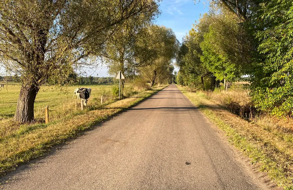 alojamientos AlohaCamp Chata przy lesie  1