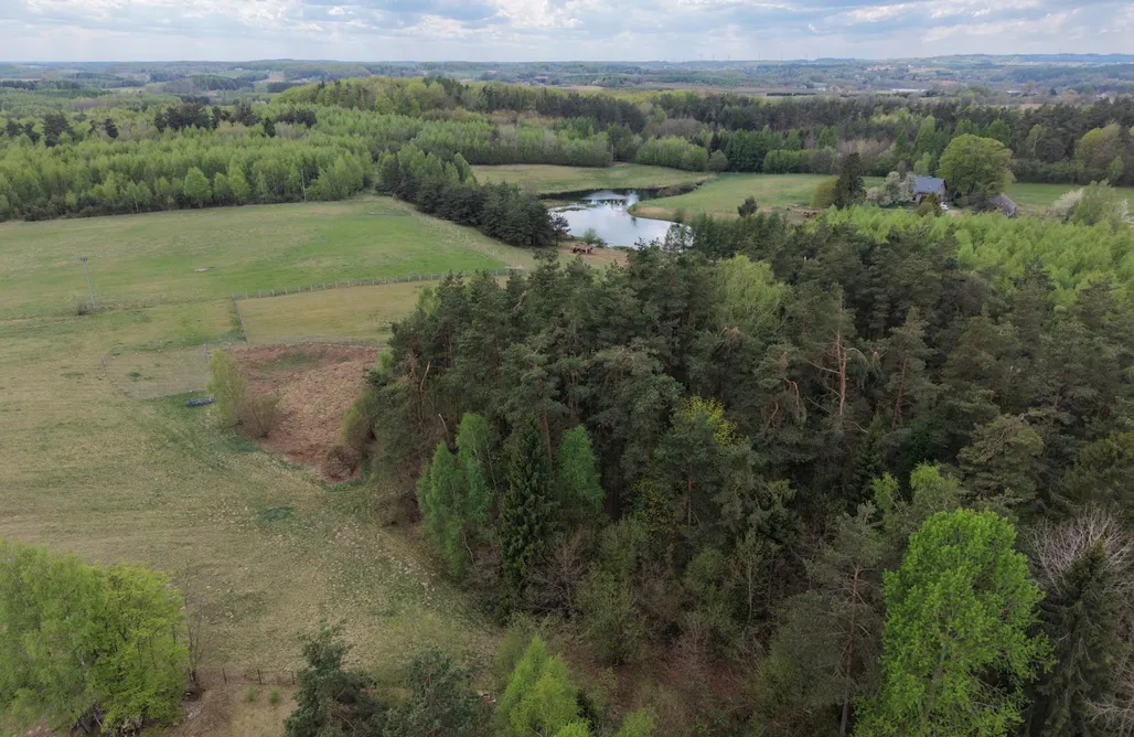 Wakacje Na Kaszubach Manna Gajowa 3
