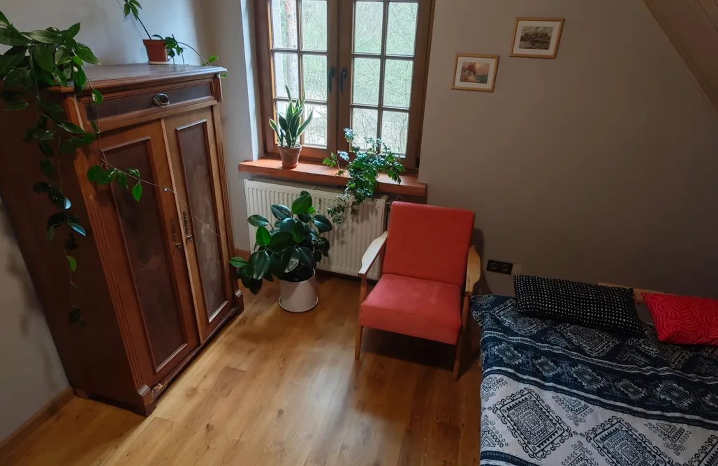 Hébergement AlohaCamp Leśny Relaks 4