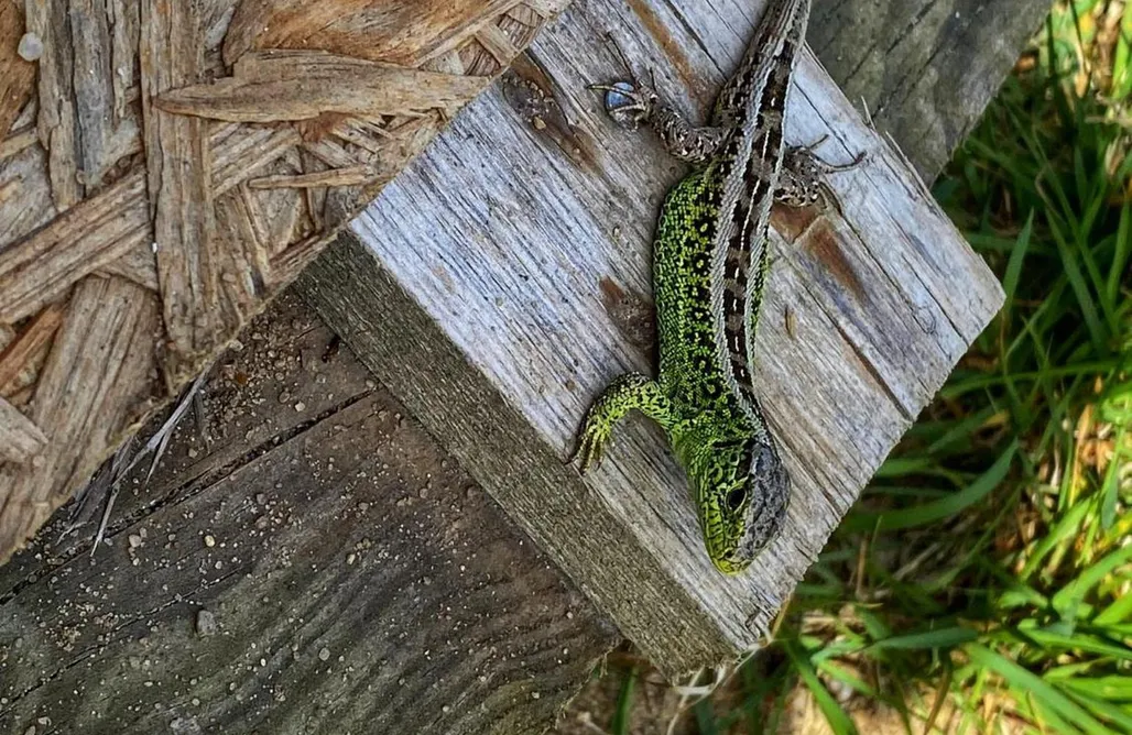 Kołobrzeg Noclegi Blisko Morza Mitako 1