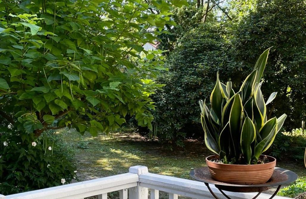 alojamientos AlohaCamp Zabytkowy dom w Podkowie Leśnej

 4