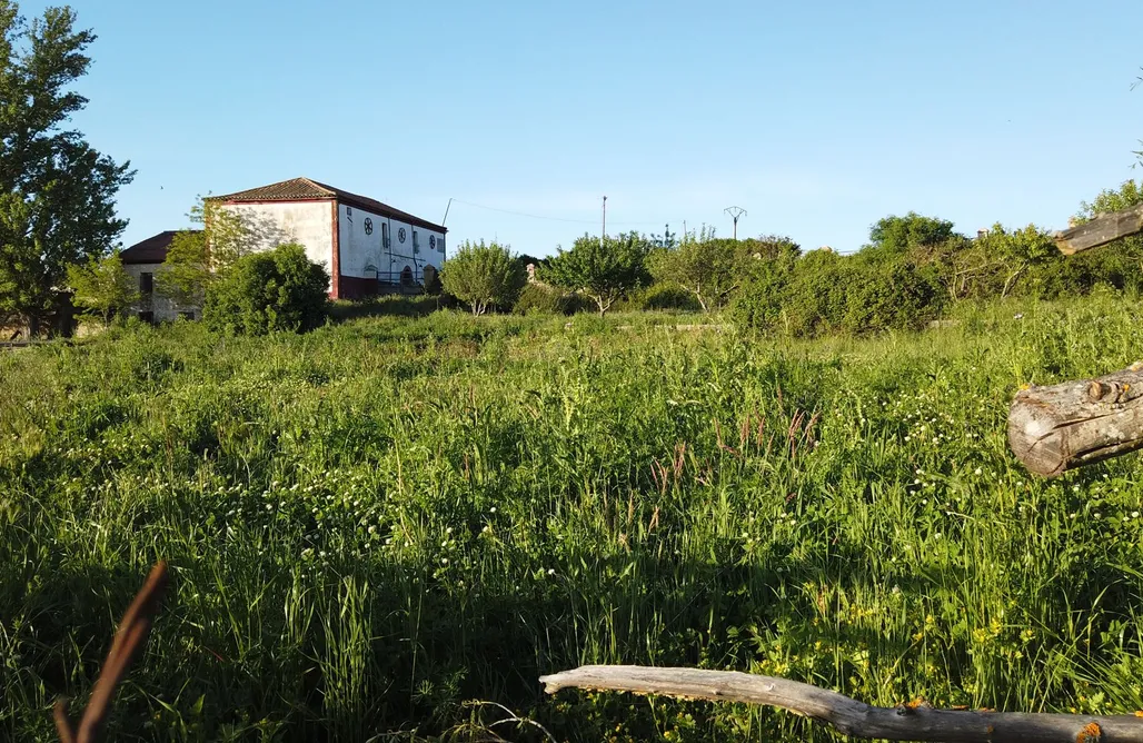 Camping Mallorca MolinoLab - Arte, Naturaleza y Tecnología 2