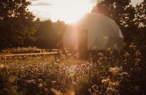 Zdjęcie obiektu Salinko Glamping