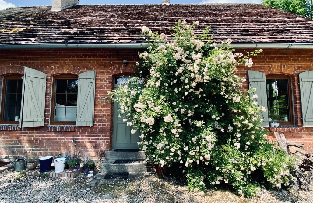 noclegi AlohaCamp dALL 5