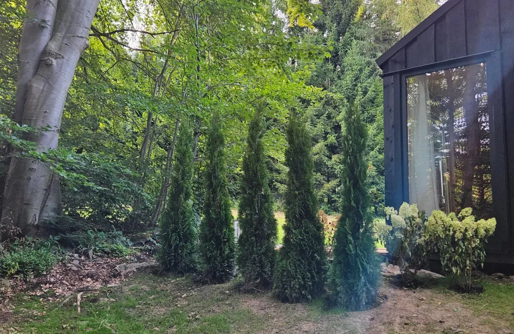 noclegi AlohaCamp Domek Pod Bukiem  4