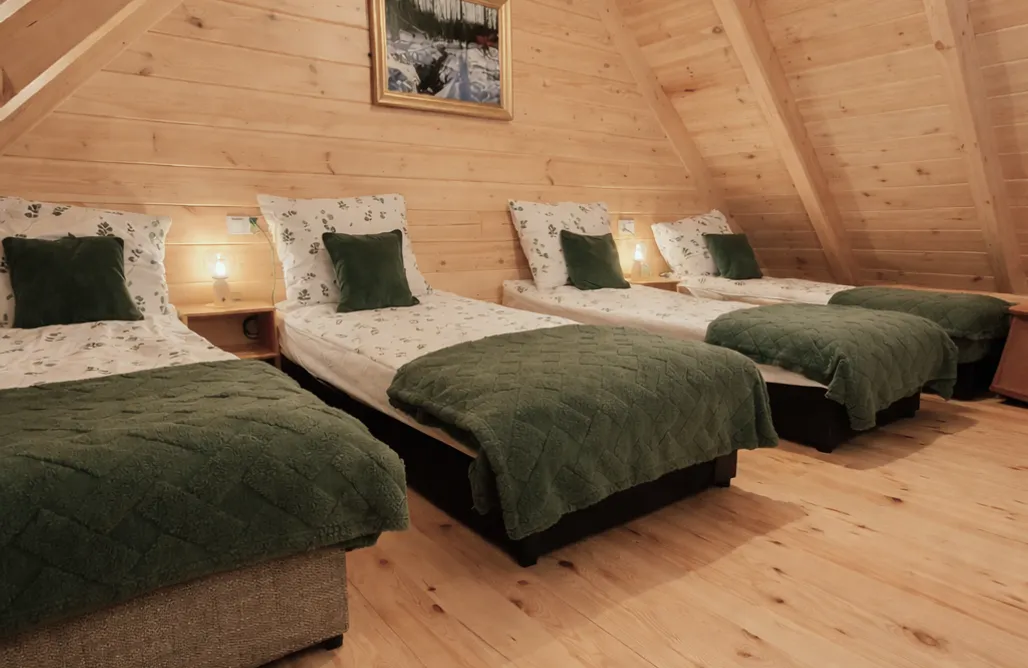 AlohaCamp Zatylove domki - Brzozowy 2