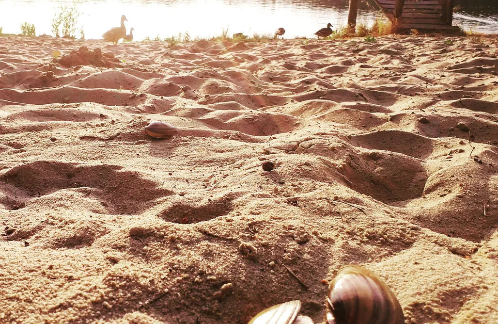 Cieślówka  - Domek nad jeziorem z sauną i jacuzzi AlohaCamp