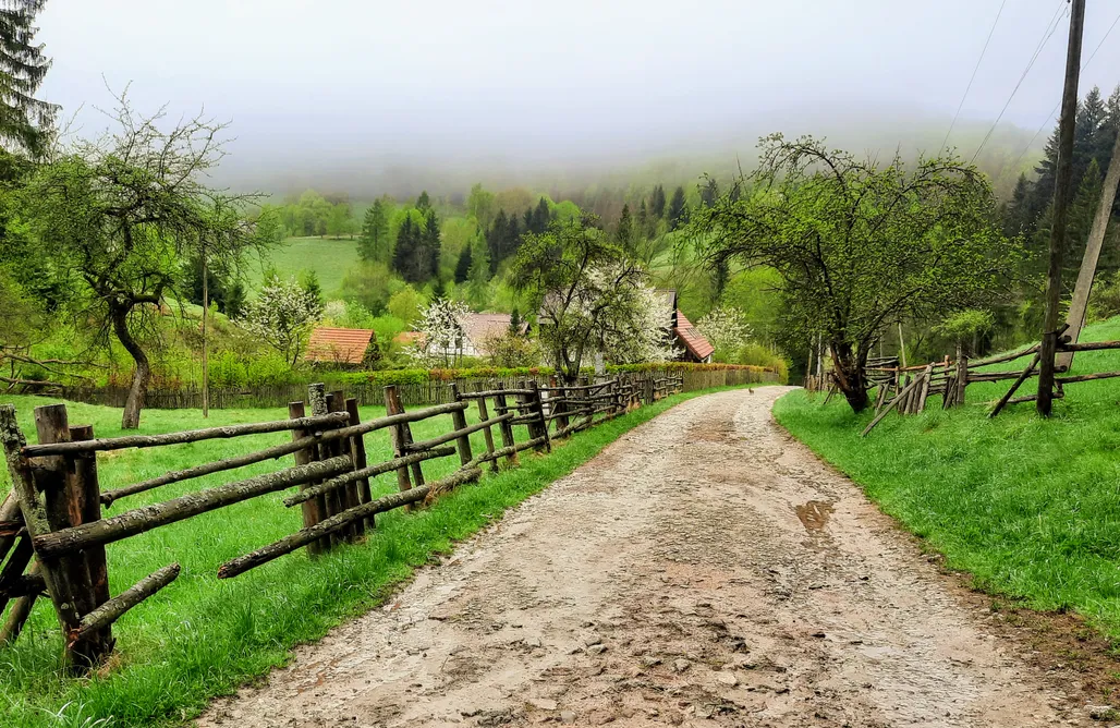 alojamientos AlohaCamp Domalek pod Złotym Kogutem 1
