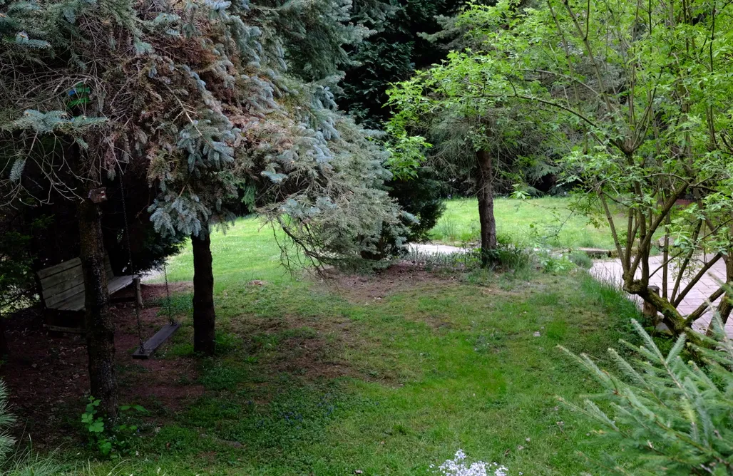 AlohaCamp accommodaties Waldhaus Bielatal 1