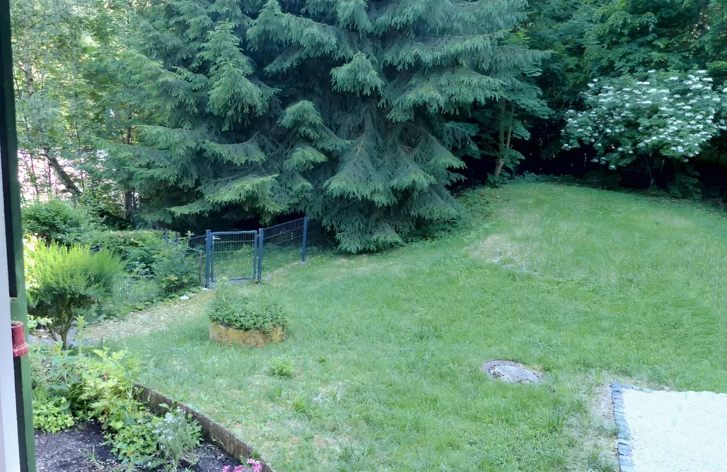 Unterkunft AlohaCamp Modernes Waldhaus mit Sauna, Garten & Bergblick 5