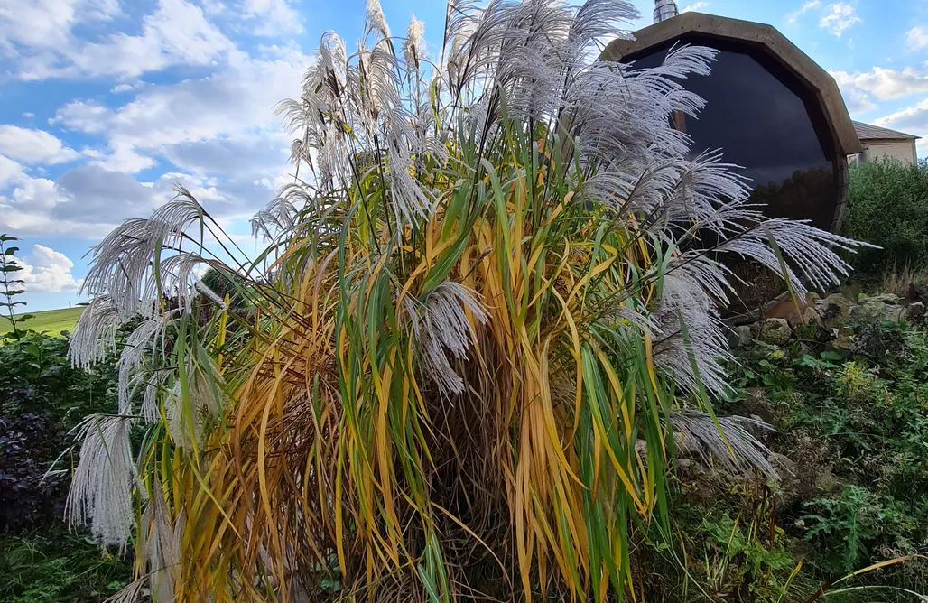 Domki Z Balią Sobieski ptasi raj 1