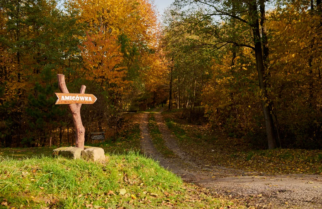AlohaCamp accommodation Miejsce kamperowe - Agroturystyka Amigówka Wieliczka 2
