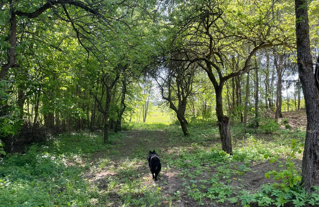 noclegi AlohaCamp Leonówka 5