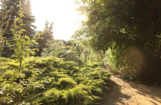 Zdjęcie obiektu Biwak Bajlando - Miejsce kamperowe i namiotowe