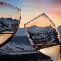 Damian i Joanna gospodarz Wygodno