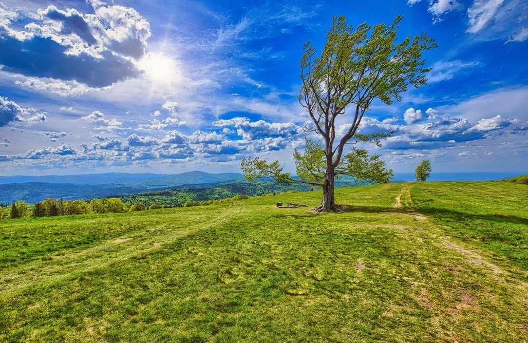 noclegi AlohaCamp Osada Pod Maliną 5